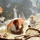 Illustration for article titled Notes From A Perfect Afternoon